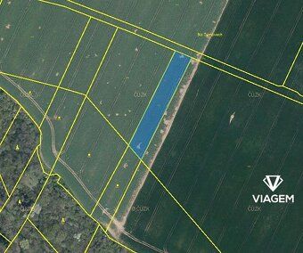 Hledáte investici, která vám zajistí stabilní příjem a ochra