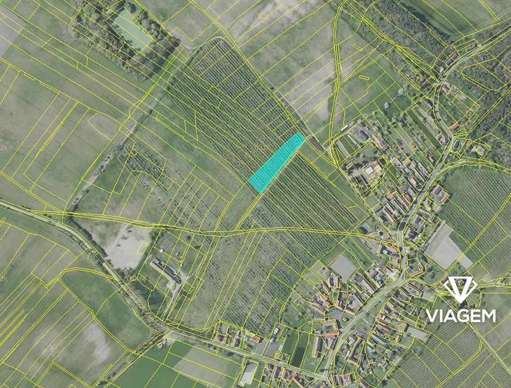 Hledáte ideální investici do budoucnosti? Chcete mít jistotu