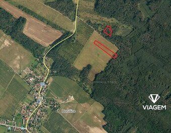Hledáte ideální investici do budoucnosti? Co takhle pořízení