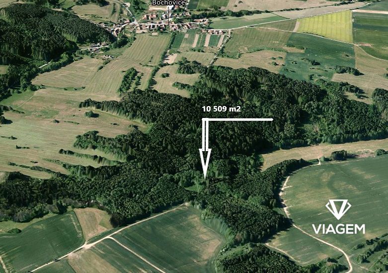 Hledáte svůj vlastní les? Chcete mít 100% vlastnictví bez sp