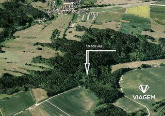 Hledáte svůj vlastní les? Chcete mít 100% vlastnictví bez sp