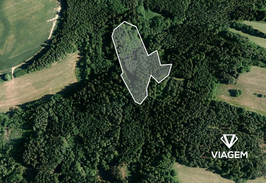 Hledáte svůj vlastní les? Chcete mít 100% vlastnictví bez sp