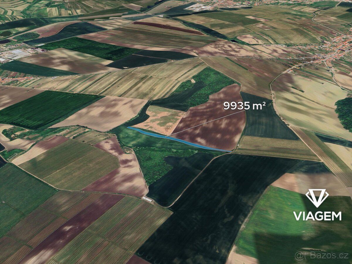 Hledáte ideální investici do budoucnosti? Co může být lepší 