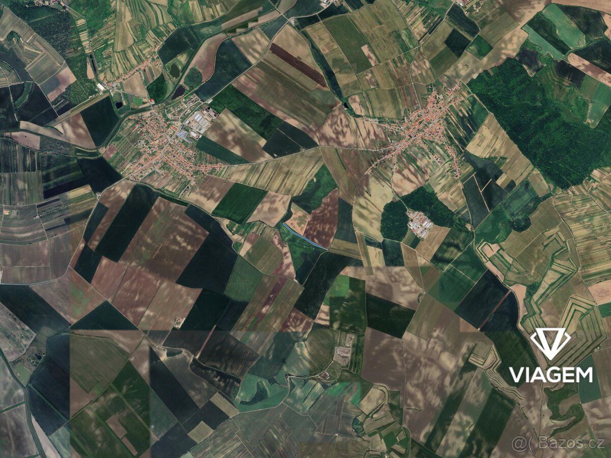 Hledáte ideální investici do budoucnosti? Co může být lepší 