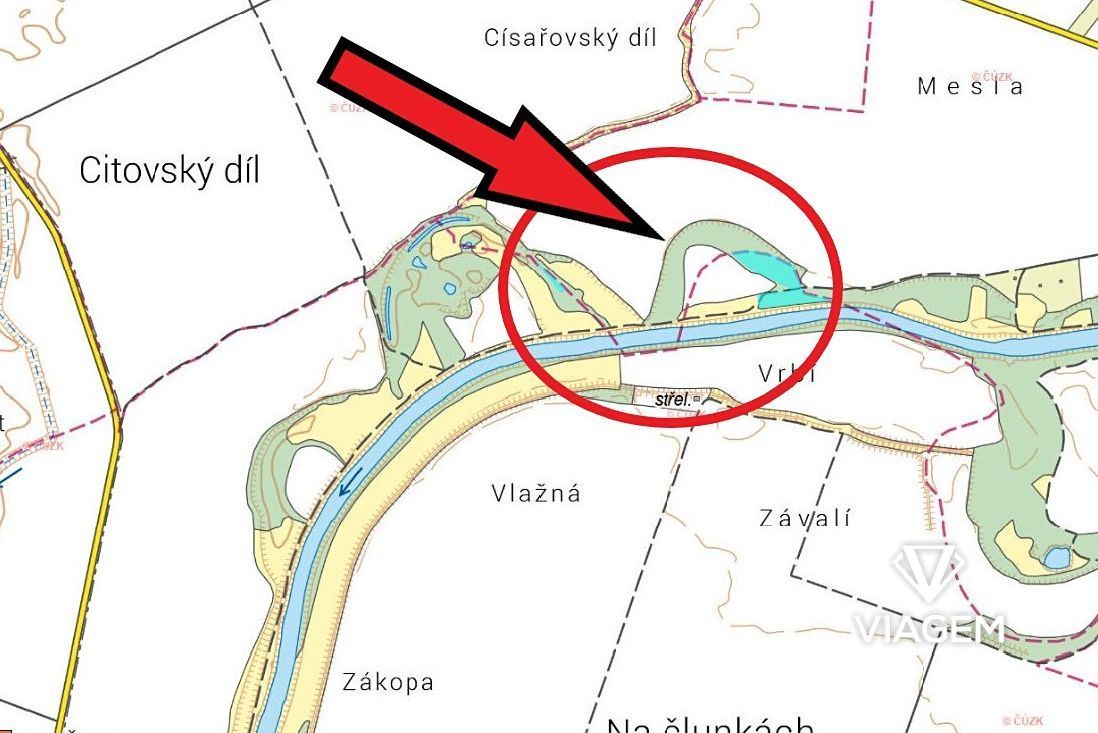 Hledáte ideální investici do budoucnosti? Co může být lepší 