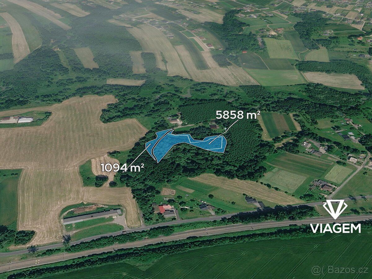 Exkluzivně Vám nabízíme lesní pozemky o celkové výměře 6 952