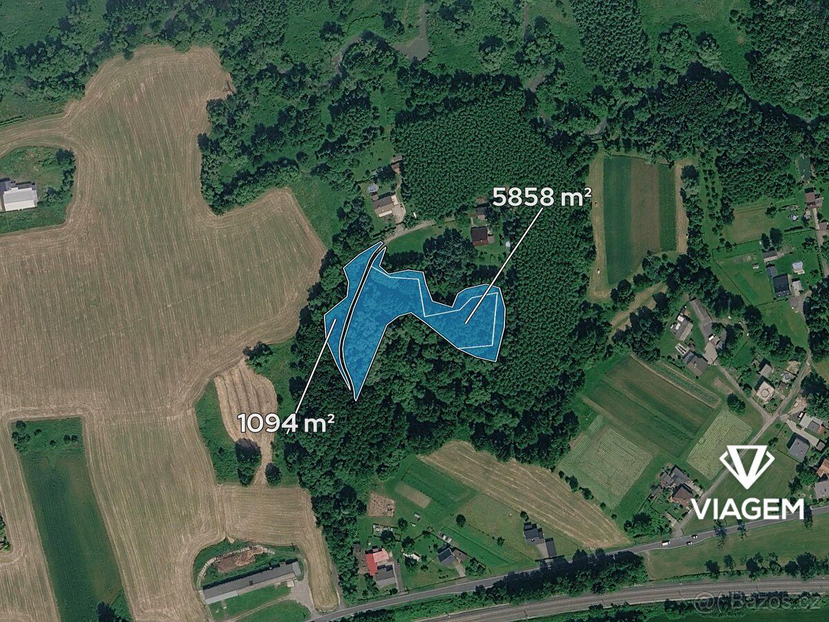 Exkluzivně Vám nabízíme lesní pozemky o celkové výměře 6 952