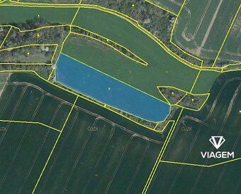 Hledáte investici, která vám zajistí stabilní příjem a ochra