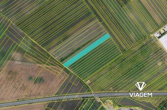 Hledáte investici, která vám zajistí stabilní příjem a ochra