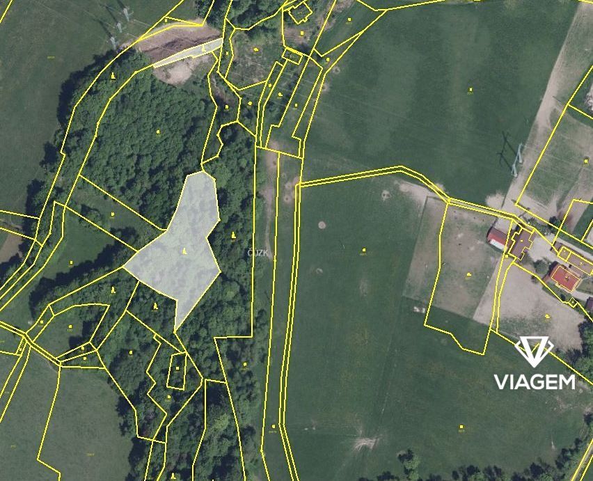 Nabízíme jedinečnou příležitost vlastnit atraktivní lesní po