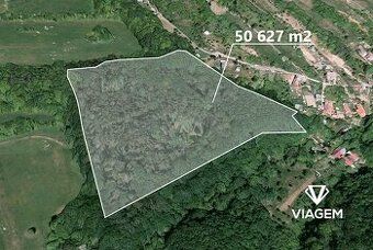 Exkluzivně Vám nabízíme pozemek v katastrálním území Košíky 