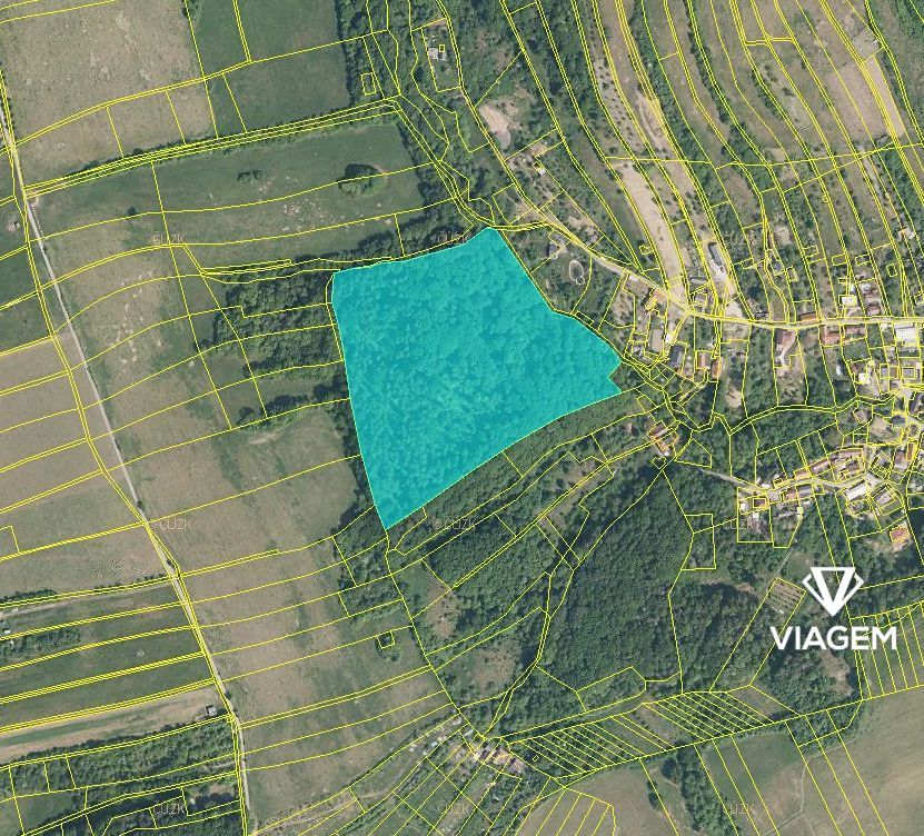 Exkluzivně Vám nabízíme pozemek v katastrálním území Košíky 