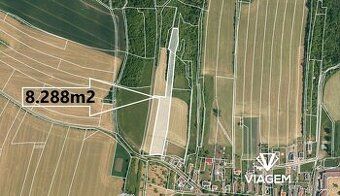 Hledáte ideální pozemek pro efektivní zemědělské využití? Má