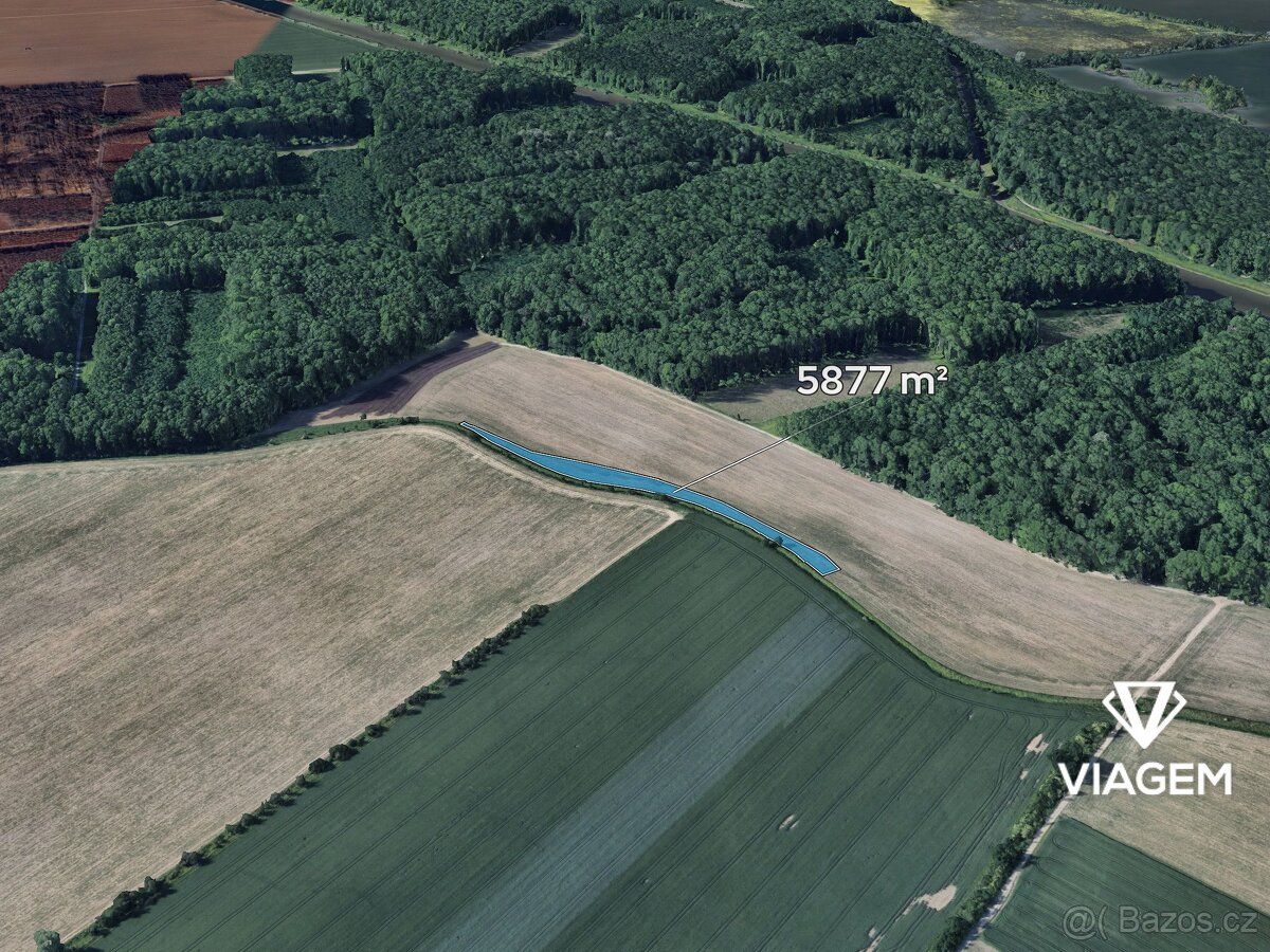 Hledáte ideální investici do budoucnosti? Co může být lepší 