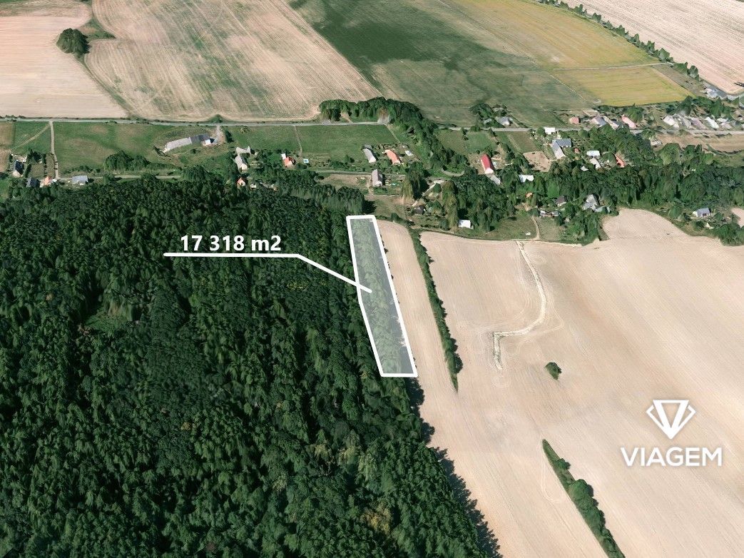 Láka Vás mít svůj vlastní les? Chcete mít 100% vlastnictví b