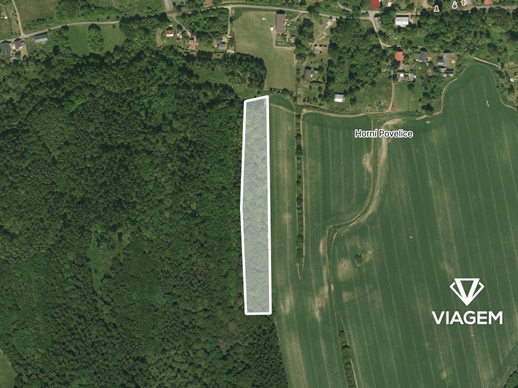 Láka Vás mít svůj vlastní les? Chcete mít 100% vlastnictví b