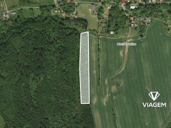 Láka Vás mít svůj vlastní les? Chcete mít 100% vlastnictví b