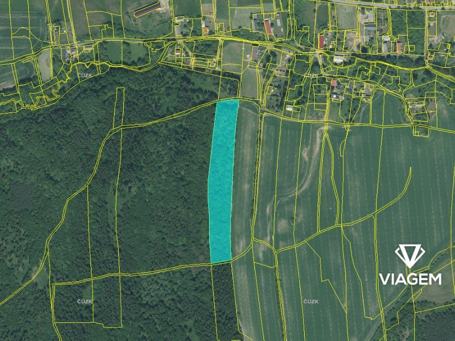 Láka Vás mít svůj vlastní les? Chcete mít 100% vlastnictví b