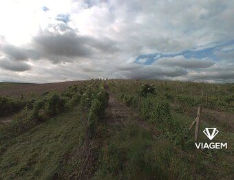 Nabízíme Vám ke koupi pozemek v katastrálním území Úvaly u V