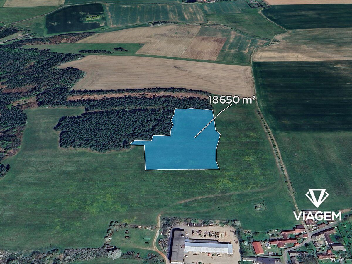 Hledáte ideální investici do budoucnosti? Co může být lepší 