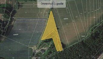 Hledáte investici, která vám zajistí stabilní příjem a ochra