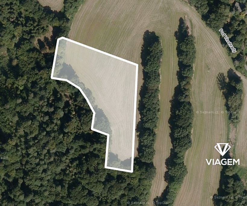 Hledáte ideální investici do budoucnosti? Chcete mít jistotu