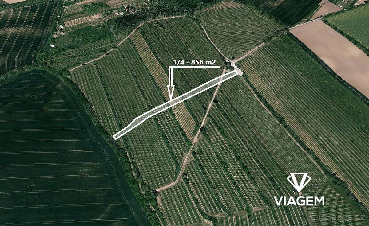 Nabízím podíl na dvou pozemcích v katastrálním území Boršice