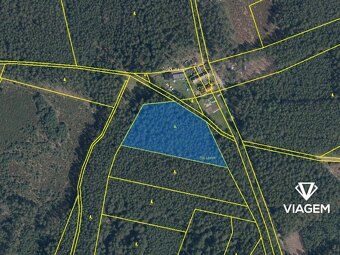 Exkluzivně Vám nabízíme lesní pozemek o výměře 1 635 m² v ka