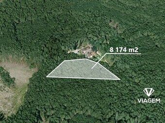 Exkluzivně Vám nabízíme lesní pozemek o výměře 1 635 m² v ka