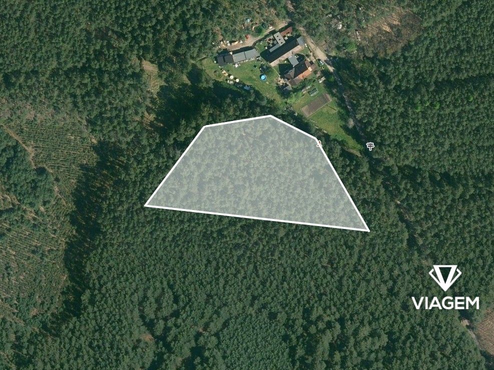 Exkluzivně Vám nabízíme lesní pozemek o výměře 1 635 m² v ka