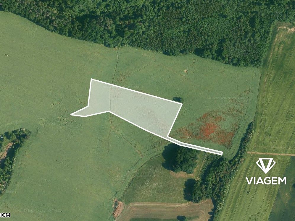 Hledáte ideální investici do budoucnosti? Co může být lepší 