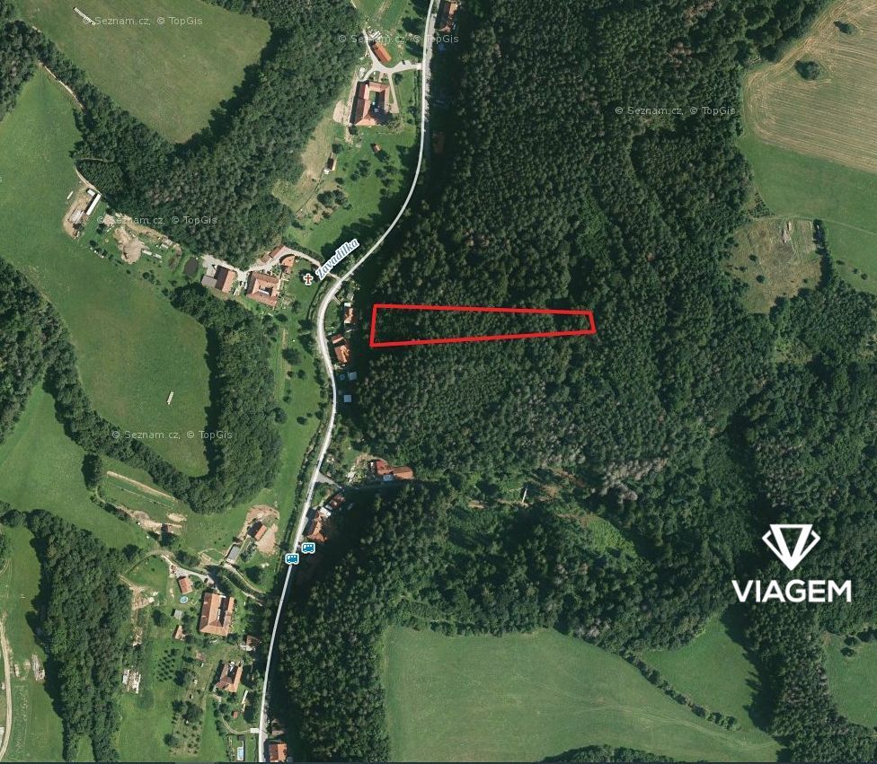 Nabízíme Vám ke koupi lesní pozemek o celkové výměře 2 703 m