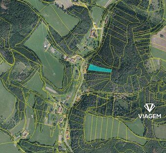 Nabízíme Vám ke koupi lesní pozemek o celkové výměře 2 703 m