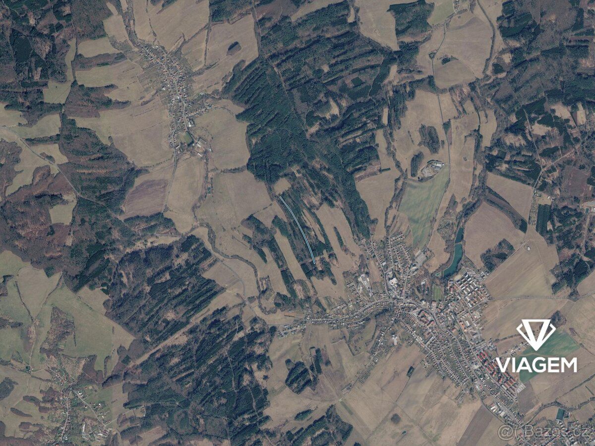 Nabízíme lesní pozemky v katastrálním území Slavičín, okres 