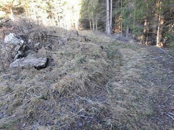 Exkluzivně Vám nabízíme pozemek v katastrálním území Dobrá u