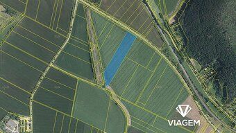 Hledáte investici, která vám zajistí stabilní příjem a ochra
