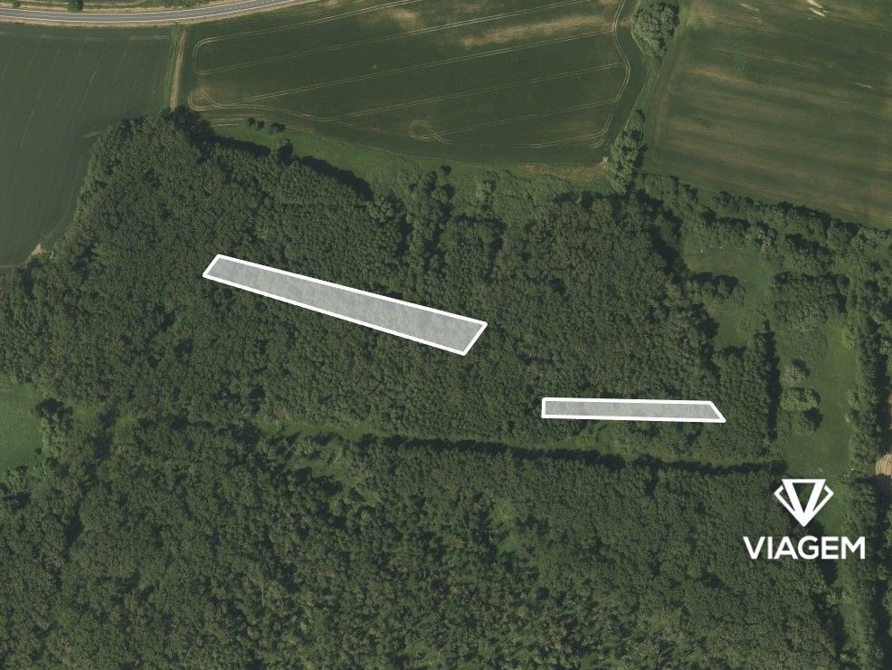Hledáte svůj vlastní les? Chcete mít 100% vlastnictví bez sp