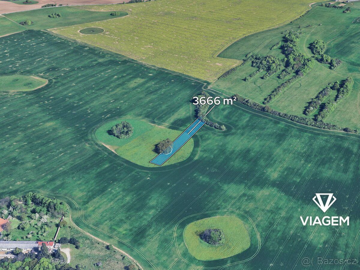 Hledáte ideální investici do budoucnosti? Co může být lepší 