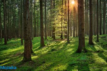 Prodej pozemku parc. č. 4298/1, k. ú. Rudoltice u Lanškrouna