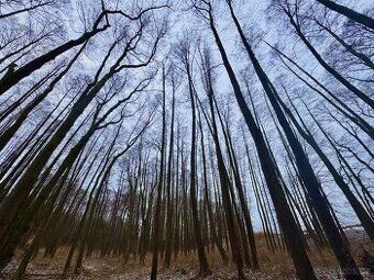 Prodej pozemku parc. č. 4298/1, k. ú. Rudoltice u Lanškrouna