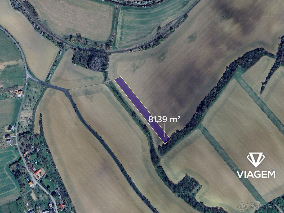 Hledáte ideální investici do budoucnosti? Co může být lepší 