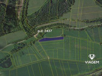 Hledáte ideální investici do budoucnosti? Co takhle pořízení