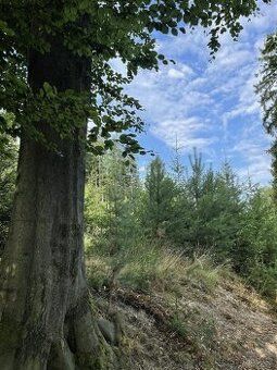 Exkluzivně Vám nabízíme pozemek parc. č. 1429 o výměře 4091 