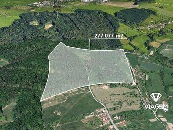 Hledáte ideální lesní pozemek v okrese Zlín? Chcete mít přís