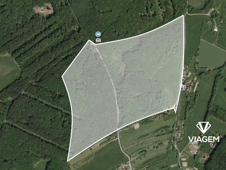 Hledáte ideální lesní pozemek v okrese Zlín? Chcete mít přís