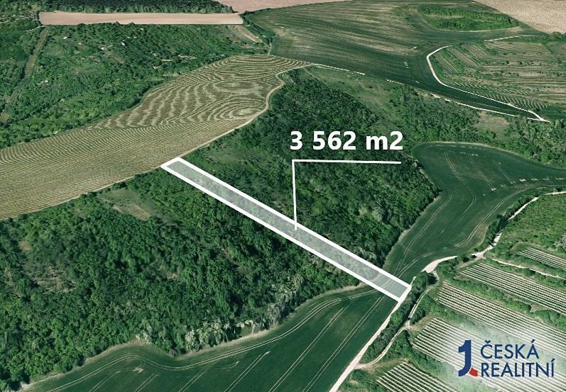 Hledáte ideální investici do budoucnosti? Co takhle pořízení