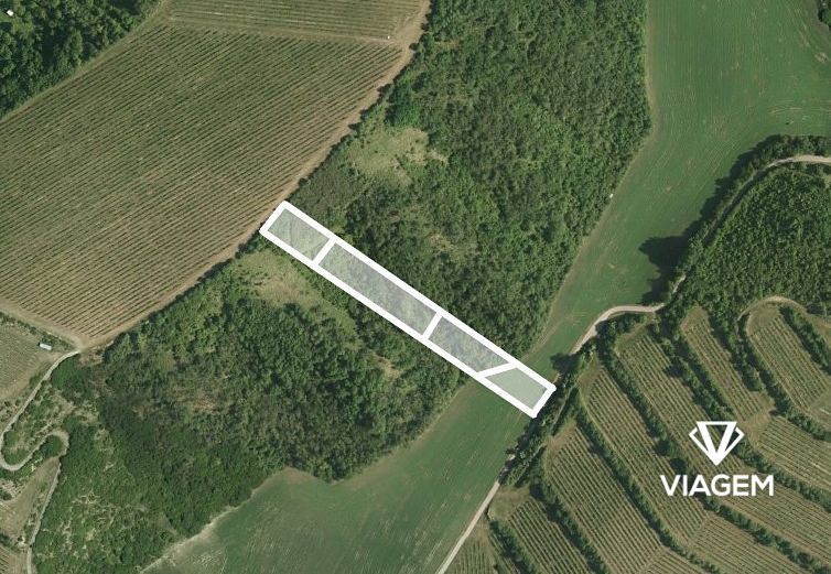 Hledáte ideální investici do budoucnosti? Co takhle pořízení