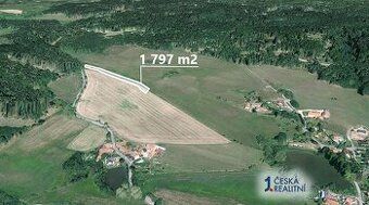 Prodám les ve dvou částech v k.ú. Vlastec a Louka nad Otavou