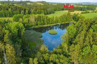 Prodám 11,2 ha lesa na Pelhřimovsku, parcely v okruhu 1 km. 
