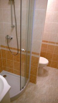 Pronajmu panel. byt 1+1 s lodžií, 38 m2, ve vyhledávané, ale